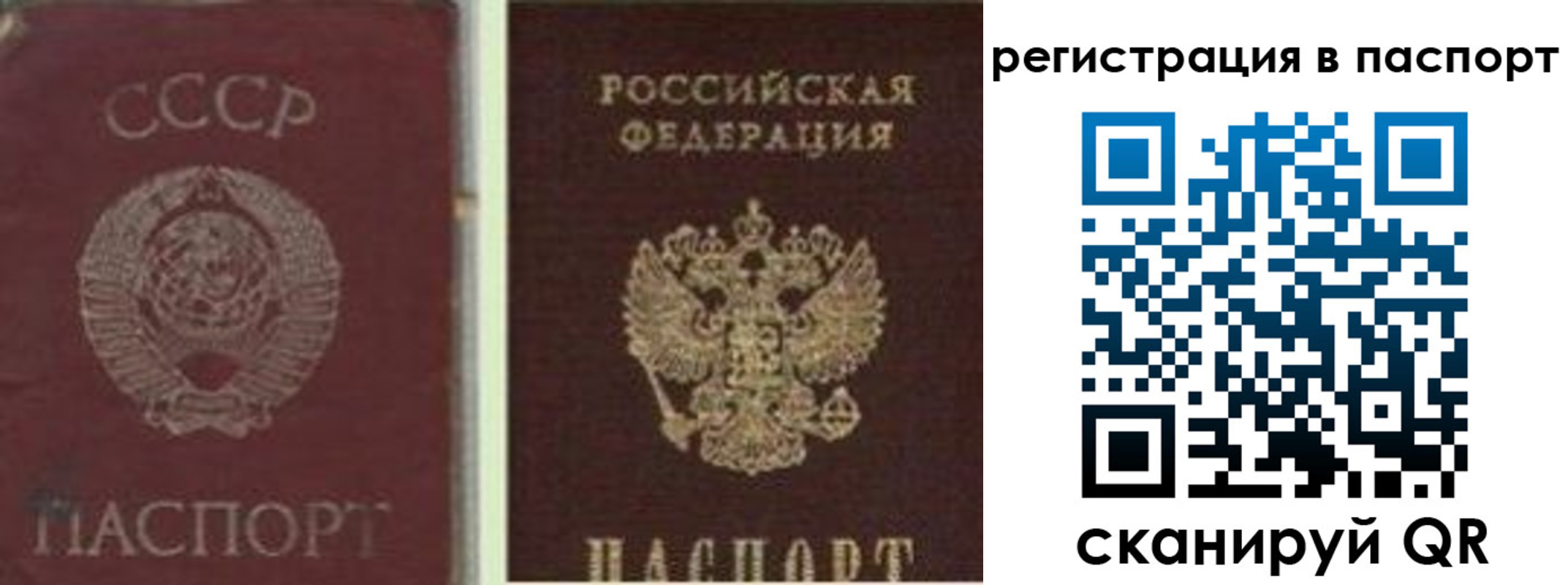 прописка для школы в Камне-на-Оби